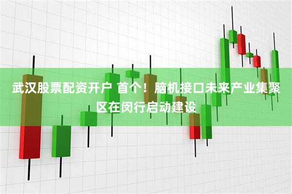 武汉股票配资开户 首个！脑机接口未来产业集聚区在闵行启动建设