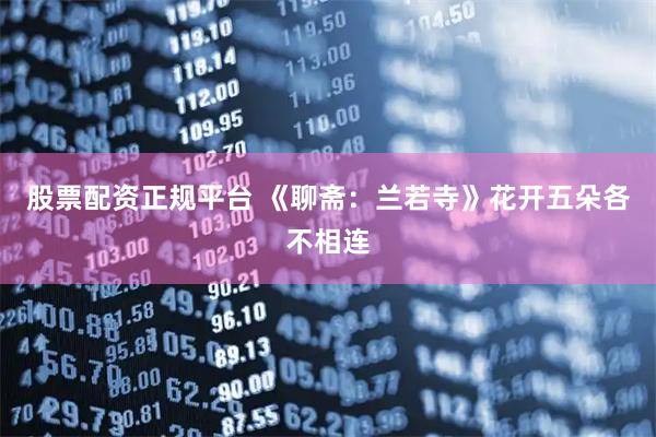 股票配资正规平台 《聊斋：兰若寺》花开五朵各不相连